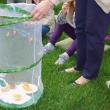   Butterfly Release