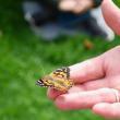   Butterfly Release  